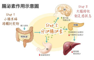 Saxenda 2 | FACEPHARM KOREA Co., Ltd.